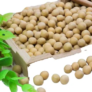 Sell A Large Number Of High-quality Soybeans That Sell Hot Products