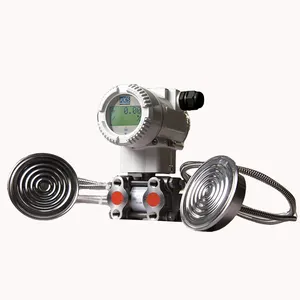 high temperature 600 C remote type differential pressure transmitter for steam or power