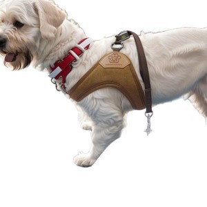 ชุดสายรัดหน้าอกสุนัขผ้ากำมะหยี่เนื้อด้านรูปตัว Y ที่มีหัวเข็มขัดที่ทันสมัยเชือกดึงเสื้อกั๊กทำจากโพลีเอสเตอร์ที่ทนทาน - Product Image 5