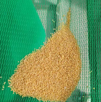 Filet de séchage en HDPE à mailles fines pour céréales, maintient les graines de millet et de blé à la surface, filet de séchage à ourlet renforcé pour la ferme