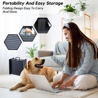 Rampe pour chien Pawise, portable, légère, pliable, en plastique, antidérapante, rampe pliable pour animaux de compagnie, rampe pour véhicule, marche, escalier, échelle pour voiture, SUV, camion