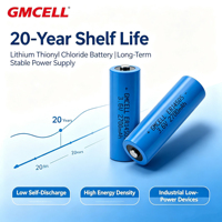 Batterie au chlorure de thionyle de lithium ER14250 ER14335 ER14505 ER17335 ER17505 ER18505 ER26500 ER34615 Batterie primaire Li-SOCl2