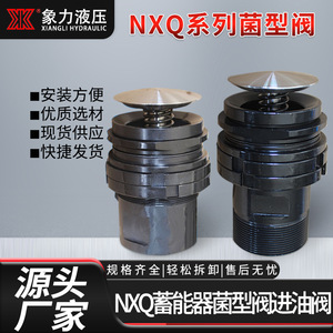 Válvula de entrada del acumulador Nxq de 40L, tipo brida roscada, válvula de control de presión para aplicaciones de aceite hidráulico - Product Image 5