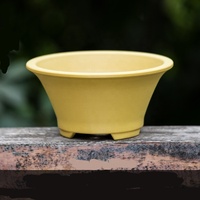 Dia.17.7cm H.8.2cm plastique classique rond bonsaï pot succulent planteur en plastique cactus pot avec bord
