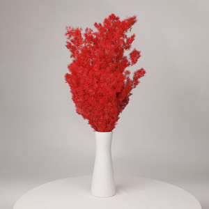 Venta al por mayor de fábrica: Aspargos <span class=keywords><strong>naturales</strong></span> Myrioeladus, plantas secas y preservadas, pino para decoración del hogar, arreglos florales, a granel. - Product Image 5