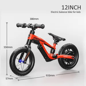 12" Inch Children No Pedal Bicycle 250W Powered 24V 2.5ah Kids Electric Balance Bikes