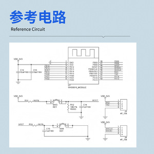 Module WKB5010 5.2, puce LE5010, interface SPI, faible consommation d'énergie, contrôle de réseau maillé pour l'éclairage IoT - Product Image 2