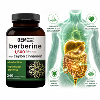 Complément de berbérine avec cannelle de Ceylan pour le contrôle de la glycémie, le soutien du métabolisme et l'équilibre de l'insuline, capsules 1200mg