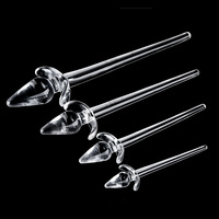 Nouveau Plug Anal en TPE Haute Transparence avec Queue de Chien, Jouet Sexuel SM, Masturbateur Anal, Dildos, Produit Adulte