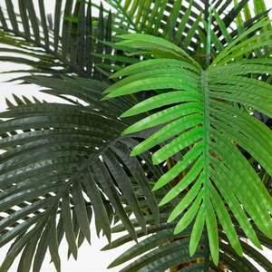 ต้นมะพร้าวประดิษฐ์คุณภาพสูง ผลิตจากไฟเบอร์กลาส เป็นมิตรกับสิ่งแวดล้อม เหมาะสำหรับตกแต่งภายในบ้าน ใบไม้เหมือนจริง กันน้ำ ใช้งานได้นาน 10 ปี - Product Image 2