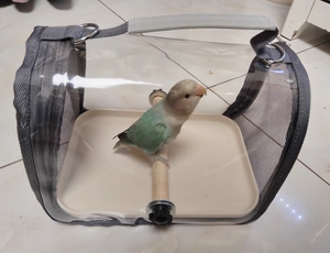 Custom Portable Bird Travel Carrier Bag Lightweight &amp; <strong>Secure</strong> <strong>Backpack</strong> for Parrots Pigeons and Small Pets to Outdoor Pet Supplies - Product Image 4