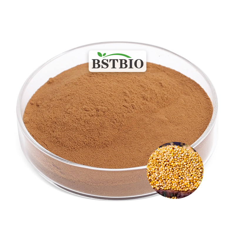 BSTBIO 10:1 20:1 Semen Sinapis Albae / Weißer Senfsamen-Extrakt-Pulver****^^^^ https://www.siboasi.com
