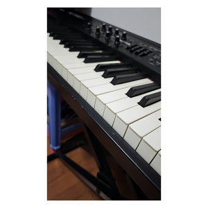 Piano Digital de Segunda Mano Jelo RD-700NX, 88 Teclas, 20 kg, Enchufe Estadounidense, 90% Nuevo, <span class=keywords><strong>Sonido</strong></span> y Sofisticación Super Naturales - Product Image 6