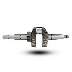 Pièces de moteur diesel refroidi par air horizontal, moteur diesel converti (168F/170F), vilebrequin, palier de vilebrequin, bagues - Product Image 2