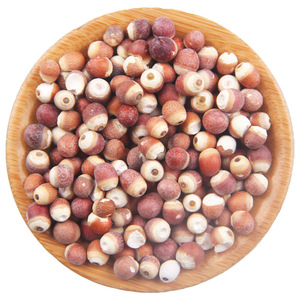 Tonique naturel Euryale Ferox directement de l'usine - pour le soutien du bien-être des reins et de la rate, faible MOQ et OEM - Product Image 1