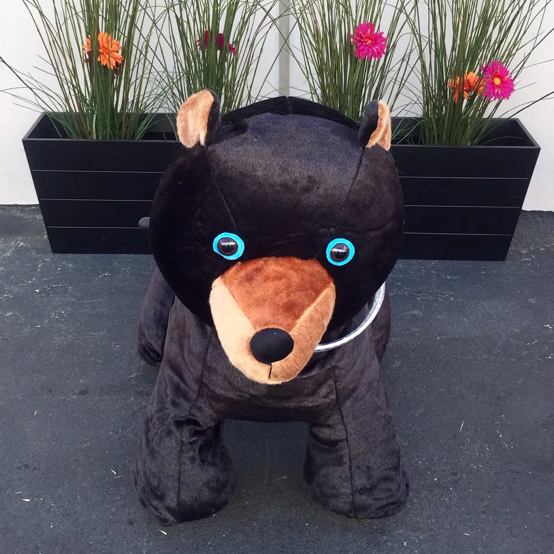 Hot selling black bear excellent quality product custom Commercial Electric Animals Ride Electric Horse