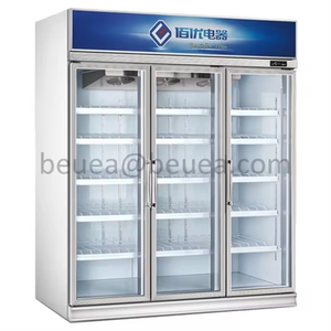 Congélateur vertical commercial 958L pour fruits de mer, refroidissement par air, double porte vitrée, pour bœuf et crème glacée, approvisionnement en gros - Product Image 6