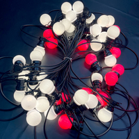 Kit de guirlande lumineuse décorative DC12V 5m/10m 10/20 LED IP65 adressable via application pour extérieur, paysage et fêtes