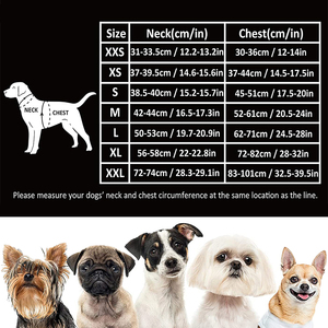 <b>Pet</b> Dog <b>Harness</b> Cooling Vest for Small Large Dogs Cats Summer Outdoor Walking Training Reflective <b>Pet</b> Chest Cooling Vest Jacket - Product Image 4