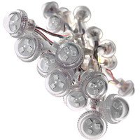 Lampes LED de 26 mm pour parcs d'attractions, éclairage décoratif extérieur, indice de protection IP66