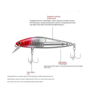 Nouveau Style Japan japon leurre dur appât de pêche en eau salée leurre méné flottant lent pour bar Pesca Esche - Product Image 4