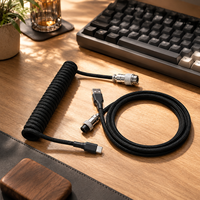 Câble de clavier enroulé arc-en-ciel pastel USB-A vers USB-C avec connecteur métallique détachable pour clavier mécanique et configuration de bureau
