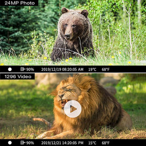 Rd2029wf caméras de <span class=keywords><strong>chasse</strong></span> 24mp/1296p caméra de <span class=keywords><strong>chasse</strong></span> 2g <span class=keywords><strong>3g</strong></span> 4g étanche Vision nocturne caméra de <span class=keywords><strong>chasse</strong></span> - Product Image 6