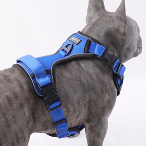 Okeypets tali kekang anjing Oxford, kekang anjing dengan pegangan Neoprene dan <span class=keywords><strong>2</strong></span> tali tambahan jaring lembut warna-warni tahan lama - Product Image 3