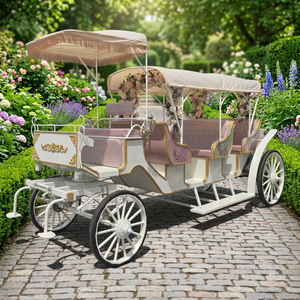 Carroza Eléctrica para Caballos en Oferta/Carroza de Boda Estilo Princesa/Carroza de Flores para Turismo al por Mayor - Product Image 1