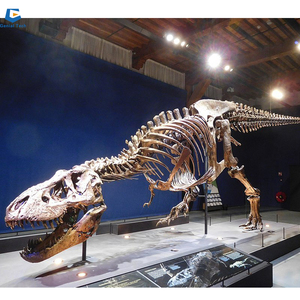 <span class=keywords><strong>Esqueleto</strong></span> de <span class=keywords><strong>dinosaurio</strong></span> de tamaño <span class=keywords><strong>real</strong></span> para parque temático, <span class=keywords><strong>esqueleto</strong></span> de <span class=keywords><strong>dinosaurio</strong></span> fósil jurásico, de tamaño <span class=keywords><strong>real</strong></span>, a partir de 2017 - Product Image 6