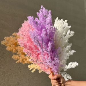 Nuevo Producto 2026, Ramas de Helecho Ming Preservadas, Flores Secas, Decoración Ecológica para el Hogar y Bodas, Día de San Valentín, Año Nuevo Chino - Product Image 4