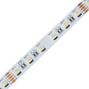 A5050 60-LEDs 10mm 12mm de ancho rgbw tira led 24V 12V entrada para jardín con control remoto WiFi