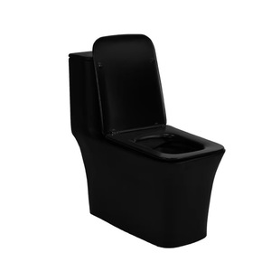 Céramique Amérique Noir Mat Une Pièce Toilette <span class=keywords><strong>WC</strong></span> Sans Monture Siphon <span class=keywords><strong>Jet</strong></span> 300mm Rinçage Double Chasse <span class=keywords><strong>D</strong></span>'<span class=keywords><strong>eau</strong></span> Placard - Product Image 2