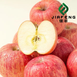 プレミアム新鮮りんご 赤富士 卸売価格 - Product Image 5