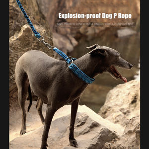 Venta al por mayor personalizado luminoso reflectante resistente de lujo hecho a mano de nylon perro collar Correa conjunto para mediano grande accesorios para perros - Product Image 4