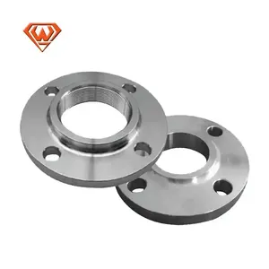 Ss Socket Welding Threaded Forged Stainless Steel Lwn Rf Flange 30