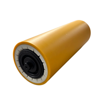 Rouleaux en HDPE pour convoyeur à bande industriel, traitement UHMWPE, matériau PE, découpe sur mesure disponible