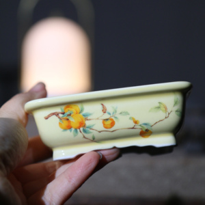 Maceta Rectangular de Cerámica Pintada a Mano Estilo Japonés, Mini Maceta del Tamaño de una Palma para Bonsái - Product Image 2