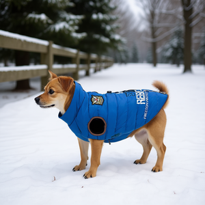 Manteau pour chien Saint-Malo avec harnais S 40 cm bleu - Product Image 3