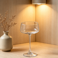 Verre à cocktail élégant pour femme, gobelet dégradé rose givré, style Ins, design classique minimaliste, coupe spéciale à pied haut