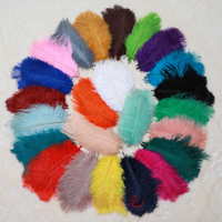 Nouvelles Idées de Produits 2025 – Boa en Plumes d'Autruche 100% Naturelles, Franges Artisanales, Meilleures Ventes pour Décoration de Mariage et Fournitures