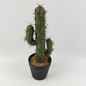 <span class=keywords><strong>Cactus</strong></span> artificiel en <span class=keywords><strong>pot</strong></span> à arrivée rapide, plante succulente de simulation, fausse plante verte d'intérieur en <span class=keywords><strong>pot</strong></span> <span class=keywords><strong>pour</strong></span> la maison, le bureau, la table - Product Image 3