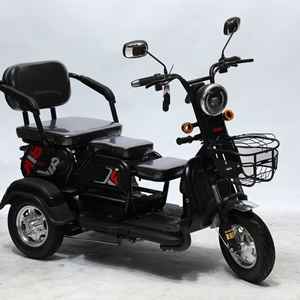 Benlg Nouveau Vélo Électrique à 3 Roues Petit Tricycle Passager Streetbike Fabriqué en Chine 48V Haute Performance 40-60km/h Scooter en Promotion - Product Image 6