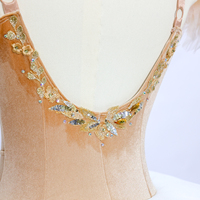 Tutu de ballet professionnel pour femmes, costume classique La Belle au bois dormant, Le Casse-Noisette, tenue de scène en polyester/rayonne