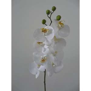 PHALENO SPRAY RT 90CM CR - Product Image 1