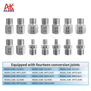 AILEIKE103SC + ALKC400HA1 deniz basınç kalibratörü el pompası-0.91 ~ 2bar aralığı 0.1% FS doğruluk 1.2x aşırı yük kapasitesi - Product Image 4