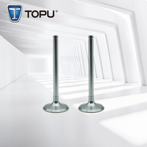 13201-44G00 soupape de moteur de haute qualité pour Nissan Navara / Urvan / Atlas / Pick up/caravane/Homy/Cabstar E24/F22/D21 4316-AN - Product Image 1