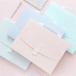 new ideas to school office supplies in 2023 Hot selling a4 size Multi function colored plastic report folder pp file folder box