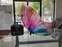 Machine à LED Papillon Volant Télécommandée, Cadre en Alliage d'Aluminium, 16 Couleurs Changeantes, Indice IP33, Lumière du Jour 5000K