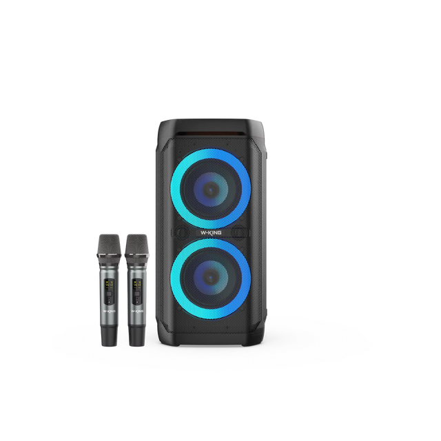 WKing T11+ Party Speaker DJ Speaker with Woofer Portable Outdoor Speaker Wireless Bass Speaker with Microphone Powerful Speaker